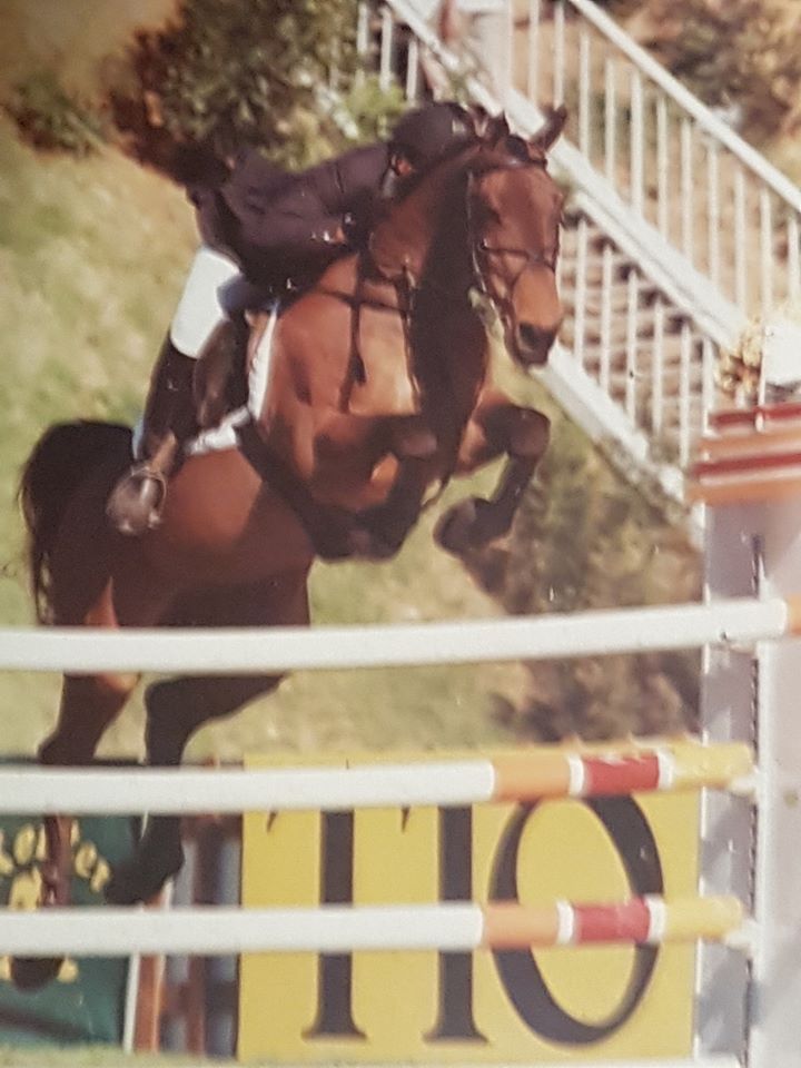 Barry Bug - International Showjumper